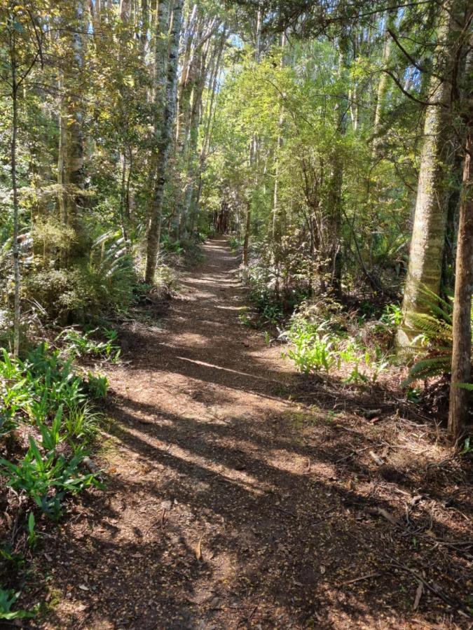 Catlins Lake Sanctuary Owaka Extérieur photo