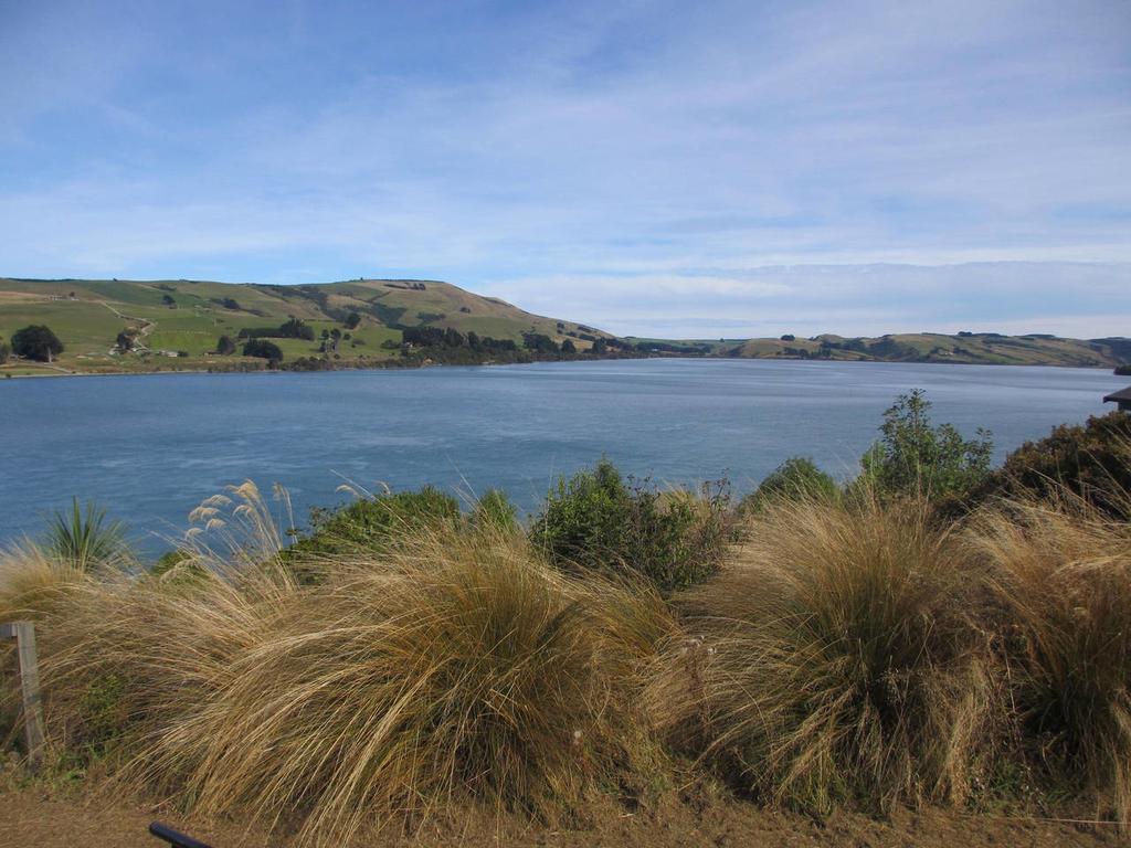 Catlins Lake Sanctuary Owaka Extérieur photo